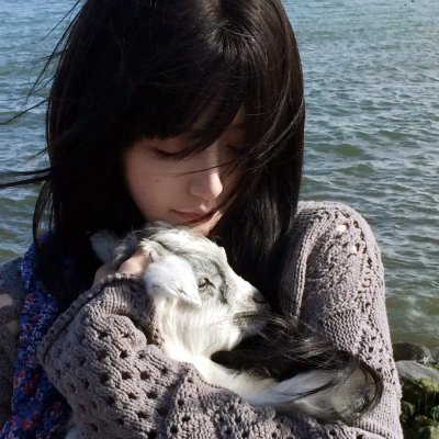 萌犬好声音2